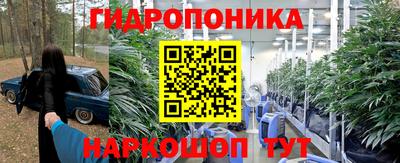 ешки Будённовск